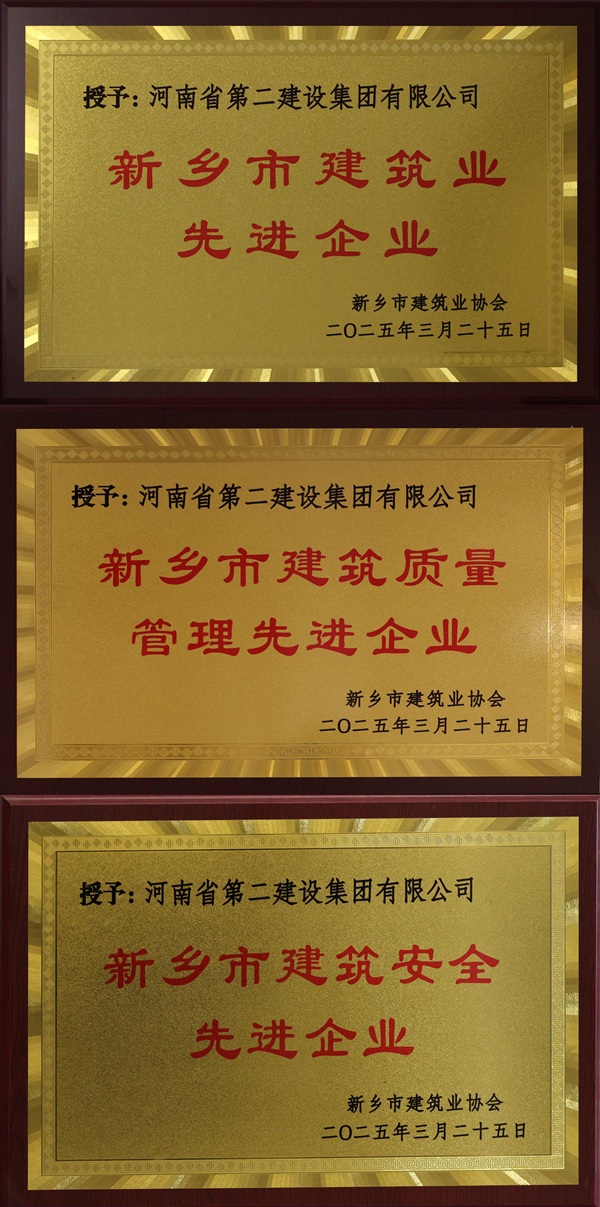 米兰体育·(MiLan Sports)官方网站_米兰体育(中国)奖牌拼图.jpg